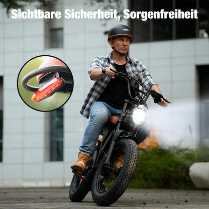 Finbike E Bike mit All-Terrain 20 * 4.0 Zoll Fetten Reifen,Elektrofahrrad mit 374.4mAh Abnehmbarem Akku,4 Fahrmodi,PAS Reichweite MAX 100KM,Elektrofahrräder für Herren Damen,E Fahrrad mit 250W Motor
